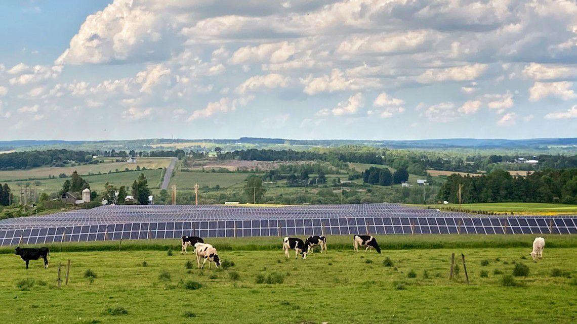 Cornell launches study on impacts of solar farms in Oklahoma Oklahoma